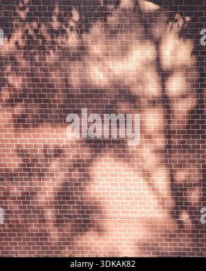 Background texture of a classic red brick wall illuminated by sunlight with dappled shadows from tree leaves, aesthetic pattern. Stock Photo