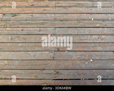 Top view texture background of old weathered brown wooden boards with horizontal lines and a few small red berries. Stock Photo