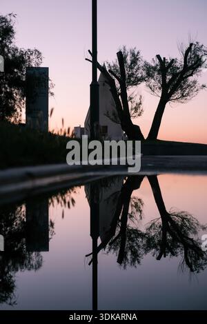 Vertical shot of a dark silhouette of trees and a building reflected in a calm pool of water during a purple and orange sunset. Stock Photo