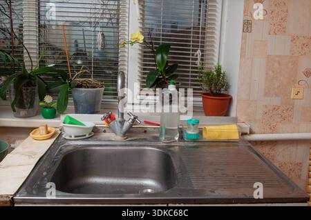 A cluttered kitchen sink area features various potted plants, a faucet, dish soap, and cleaning brushes on the windowsill Stock Photo