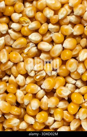 Pattern of dry uncooked yellow corn seeds kernels for popcorn. Stock Photo