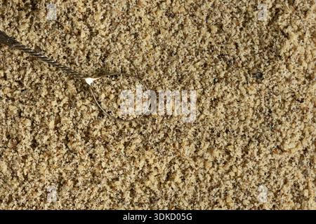 Top View of Chopped Walnut Kernels In Spoon, Macro, Superfood For Baking And Cooking Stock Photo