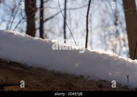 Backlit snow resting on a wooden log in winter forest, sparkling ice crystals and soft sunlight creating a natural seasonal texture and calm atmospher Stock Photo