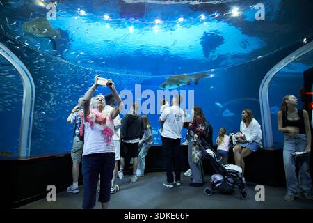 people in the undersea section of poema del mar aquarium las palmas de gran canaria, canary islands, spain Stock Photo