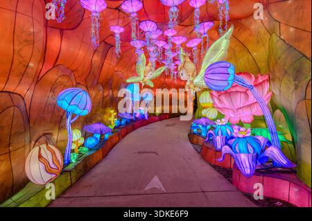Colorful illuminated lantern sculptures and fantasy light installations along a garden walkway at night during a themed outdoor light festival. Stock Photo
