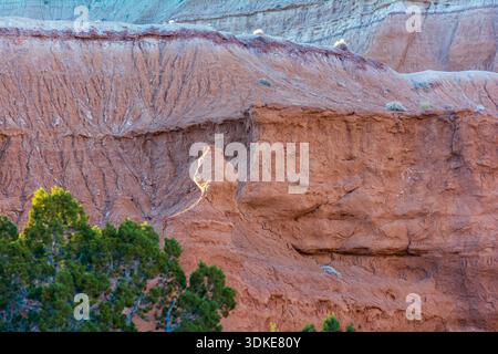 Layered sedimentary rock cliffs showing erosion patterns and geological strata in the Utah desert canyon landscape. Stock Photo