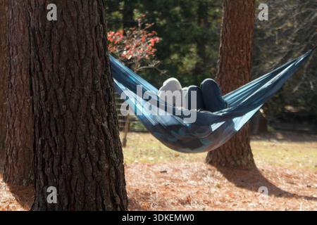 Two people in a hammock  suspended between two trees in a park Stock Photo