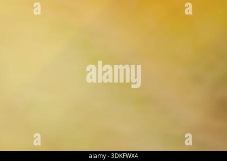 Picture of defocused and blurred abstract yellow background Stock Photo
