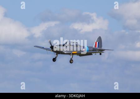 De Havilland Chipmunk vintage trainer aircraft landing on a runway during an airshow, with RAF markings and landing gear deployed. Stock Photo