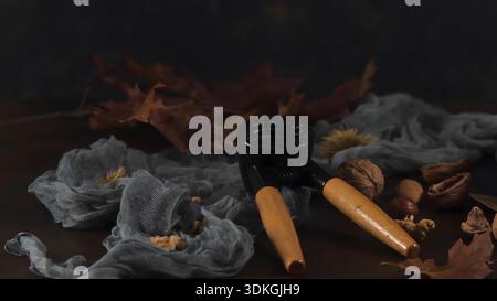 A heavy-duty black and wood nutcracker sits among walnuts and chestnuts on a dark wooden surface. Soft lighting highlights the rustic textures of gauz Stock Photo
