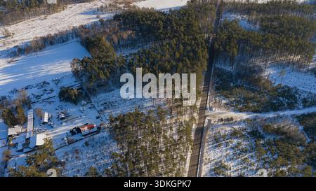 Aerial view shows a straight two lane road in a Polish pine forest, snow on trees, long shadows, patchwork replanting, and farm buildings by snowy fie Stock Photo