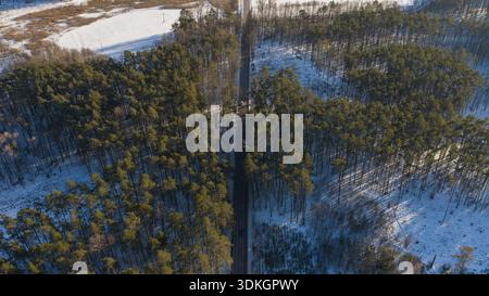 Aerial top down view shows a straight road in Poland cutting through snow pine forest. Long blue shadows stretch from trees. A few vehicles move along Stock Photo