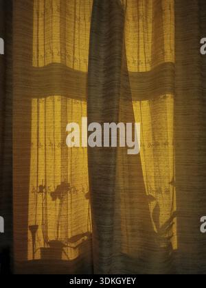 A warm, golden light falls through a curtain and casts shadows from plants on it Stock Photo