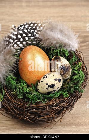 Food, Quail eggs in a nest with green moss, branches and on the table for Easter Stock Photo