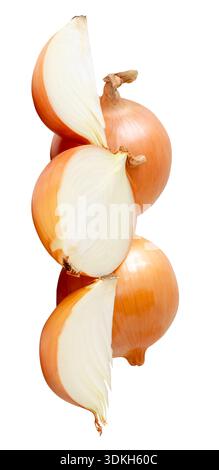 Two bulbs of white or big onions with slices in half and quarters in stack are isolated on white background with clipping path. Stock Photo