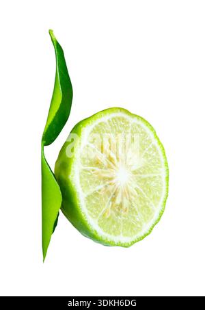 Side view of fresh green bergamot fruits or kaffir lime in one half with green leaf in stack is isolated on white background with clipping path. Stock Photo
