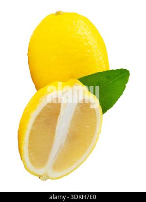 Front view of ripe yellow lemon fruit with half and one green leaf in oval or ellipse in heap is isolated on white background with clipping path. Stock Photo