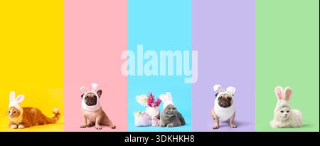 Set of funny cats and dogs wearing Easter bunny ears on color background Stock Photo