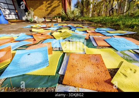 Colorful clean sponge cloths background, microfiber household disposable dust cleaning rags Stock Photo