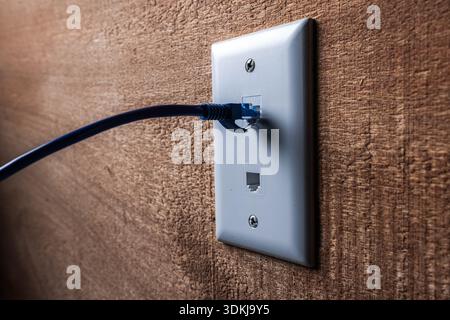 A close-up, high-detail shot of a blue RJ45 Ethernet cable plugged into a white wall-mounted network port. Stock Photo