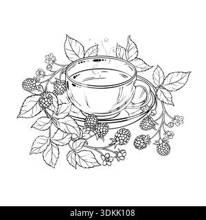 Cup of Blackberry Tea Outline Illustration. Stock Vector