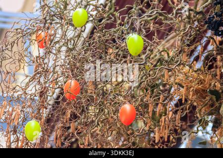 Colorful easter eggs hanging on a tree Stock Photo