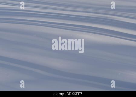 Winter forest covered with fresh snow. Long shadows on the snow. Stock Photo