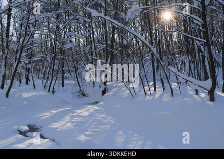 Beautiful winter landscape with snow covered trees and frozen forest river. Stock Photo