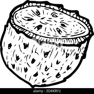 Soursop half fruit isolated. Sketch of soursop in engraving style. Hand drawn vector illustration. Stock Vector