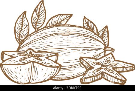 Carambola outline hand drawn vector illustration, whole and half, slice of plant and leaves. Stock Vector