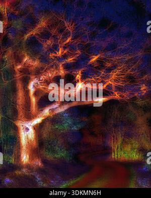 Colourful night scene with illuminated tree branches and a curving path through dark woodland. Stock Photo