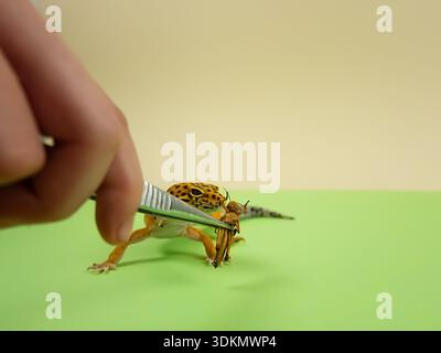 Hand using tweezers to hold a toy gecko on a green surface with a plain background Stock Photo