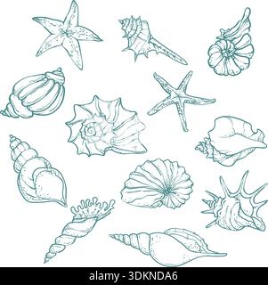 Blue line art sea elements set. Stylish blue line art set of sea elements starfish, shell . Stock Vector