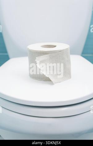 Torn roll of toilet paper lies on the closed lid of the toilet bowl. Selective focus on paper Stock Photo