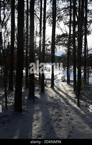 Footprints lead down a wooded path after a fresh blanket of snow covered Dorothea Dix Park in Raleigh, North Carolina Stock Photo