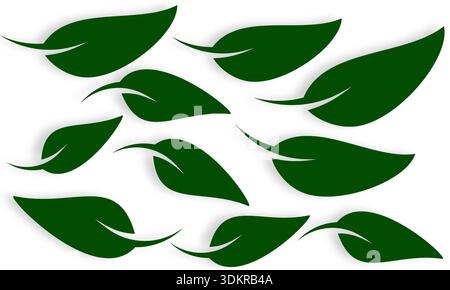 Seamless pattern of dark green leaves with shadows on white background. Tropical foliage vector illustration for nature-themed wallpaper Stock Vector