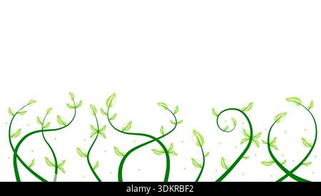 Green creeping vine plants with fresh leaves on white background. Minimalist vector illustration of growing spring sprouts and natural floral elements Stock Vector
