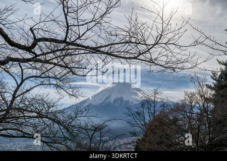Mt Fuji in Japan, sunny winter day, seen through tree branches from across lake Kawaguchi Stock Photo
