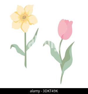 Illustration of a yellow daffodil and a pink tulip with green leaves against a white background, showcasing simple floral design elements Stock Vector