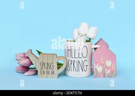 Germany - March 2025: Cute spring time decor arrangement with watering can, tulip flowers, small houses and mug with text 'Hello Spring' on blue backg Stock Photo