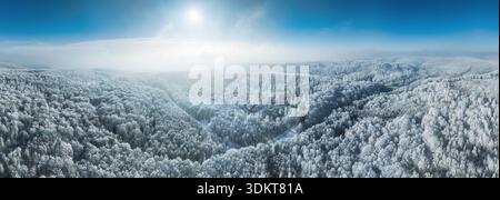 Panorama Aerial view of frosted forest meeting distant mountains under a soft with sun in Slovakia, Carpathian Stock Photo