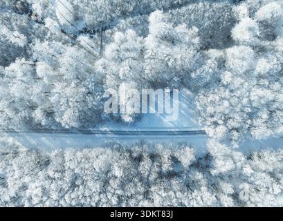 An aerial of a frosty and snowy mixed boreal forest on a sunny winter day in Estonia, Northern Europe Stock Photo