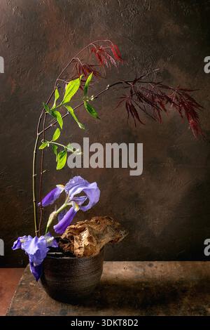 Beautiful Japanese ikebana arrangement with purple iris flowers green leaves and red maple branches in ceramic pot against dark textured background. T Stock Photo