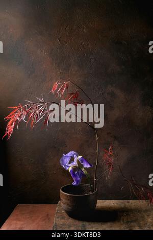 Artistic still life composition ikebana with red Japanese maple branch and purple iris flower in ceramic pot against dark textured background Stock Photo