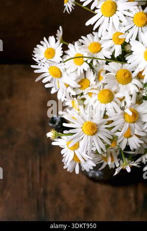 Beautiful white daisies with yellow centers arranged in dark vase on rustic wooden surface. Natural lighting creates warm atmosphere for spring decora Stock Photo