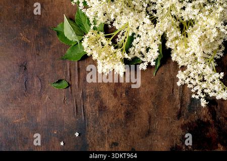 White elderflower clusters with green leaves arranged on aged wooden surface natural herbal ingredient for cooking and medicine Stock Photo