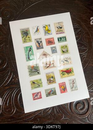 A collection of vintage postage stamps featuring birds on a decorative oak table top. Stock Photo