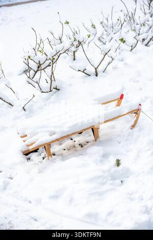 A wooden sled rests partially buried in fresh snow, surrounded by snow covered bushes with sparse green leaves and a small patch of visible greenery. Stock Photo