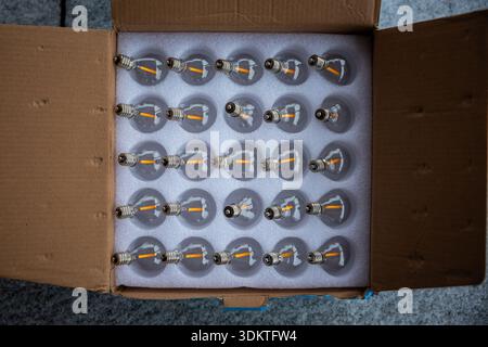 A cardboard box holds 25 filament style LED bulbs arranged in a 5x5 grid. Each bulb has a metallic screw base and is secured in foam inserts. Stock Photo