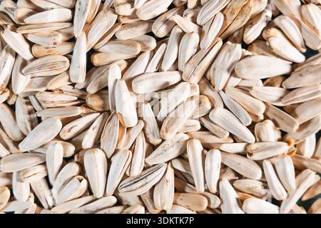 A detailed view of sunflower seeds with elongated beige shells and dark streaks, arranged densely to form a uniform and textured pattern. Stock Photo